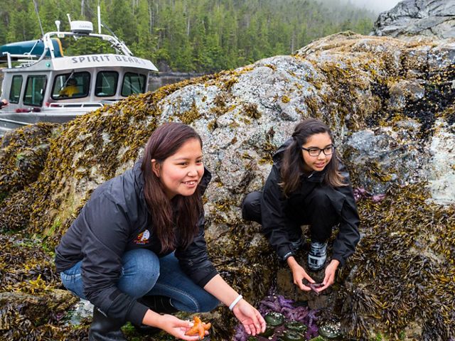 Exploring tidepools during a break from harvesting traditional food including urchin, fish, sea asparagus, and berries near Klemtu, BC, Canada.