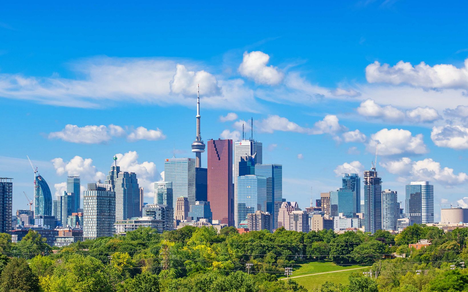 Toronto skyline with blue sky in the background and green trees in the forground