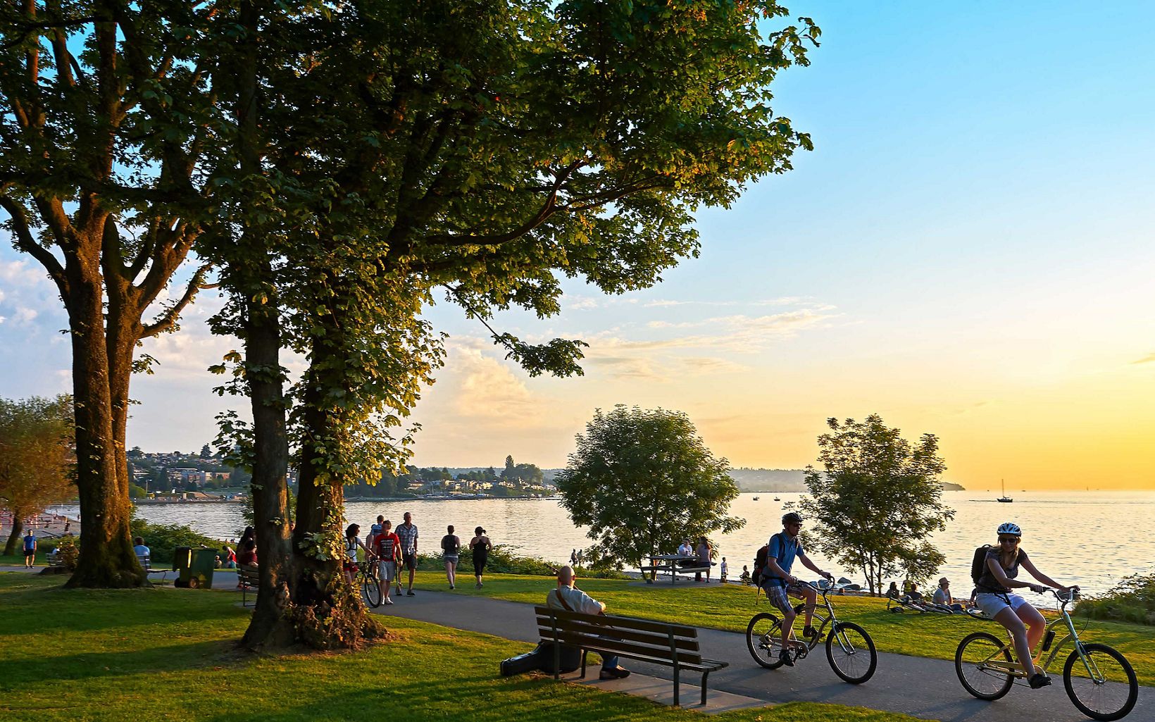 a sidewalk by the water in Vancouver with people walking and biking under the shade of trees