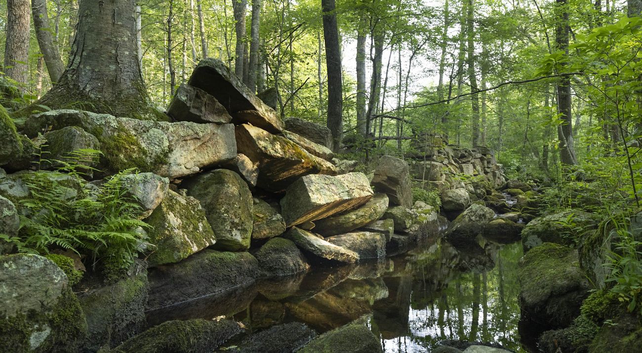 Pale sunlight shines on a colonial-era stone millrace canal that is slowly collapsing beside a still stream.