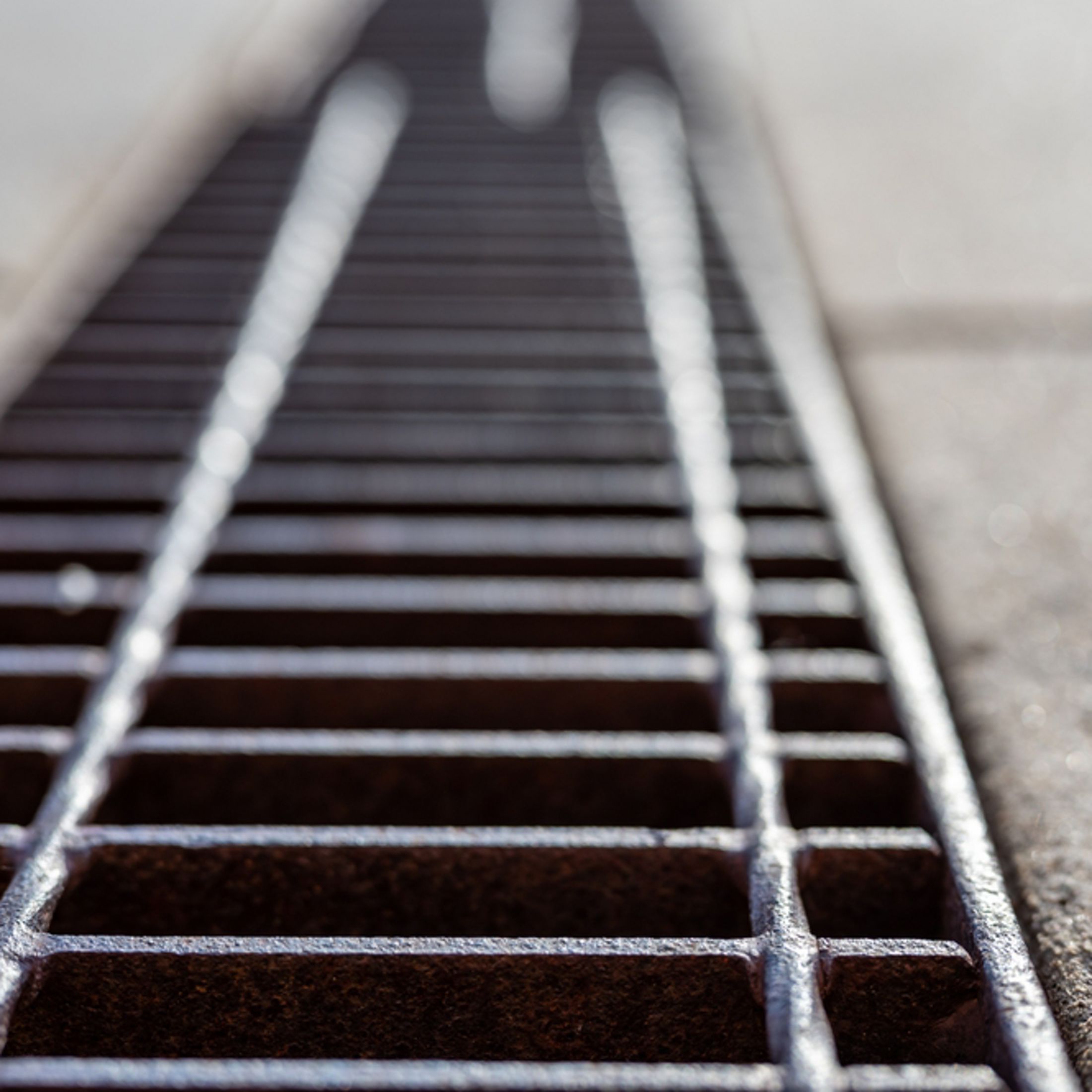 Close-up of the metal grate over a catch basin.