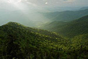 Muted sunlight shines on a forested mountain valley.