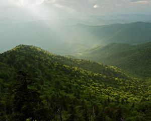 Muted sunlight shines on a forested mountain valley.