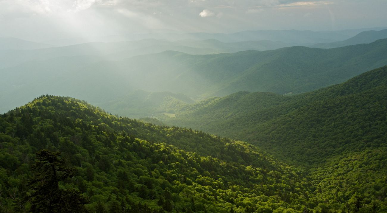 Muted sunshine shines on a forested mountain valley.