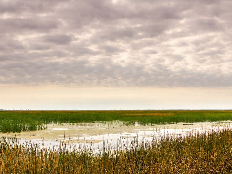 A wetland area flanked by grasses beneath a cloudy sky.