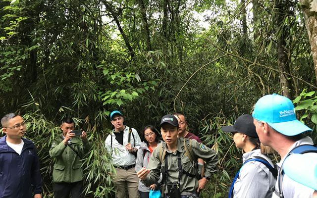 A group of people stand in a forest and listen to a TNC guide.