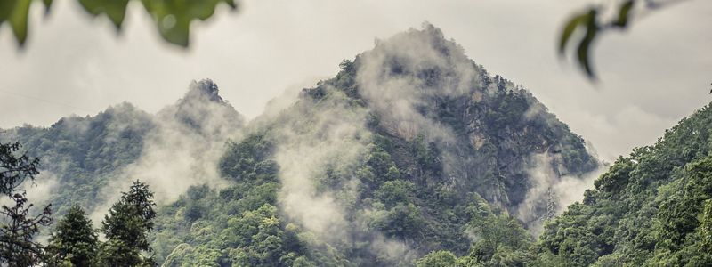 Misty mountains.