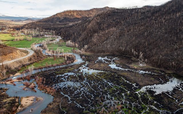 A hillside covered in burned trees and denuded soil, with interweaving streams in a valley below.