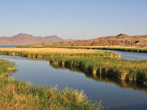 Arizona's Bill Williams River