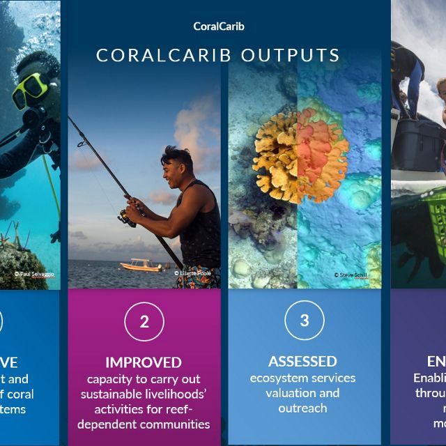 CoralCarib Project Outputs.