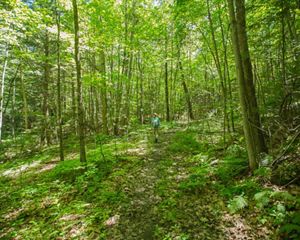 Boquet River Preserve hiker