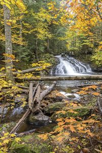 A tiered waterfall rushes through a Michigan forest as the green leaves and grass are beginning to transition to the gold of autumn. Rocks, leaves and fallen trees all impact the flow of the water.
