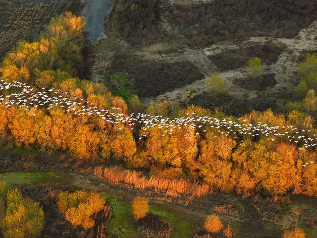 California, USA