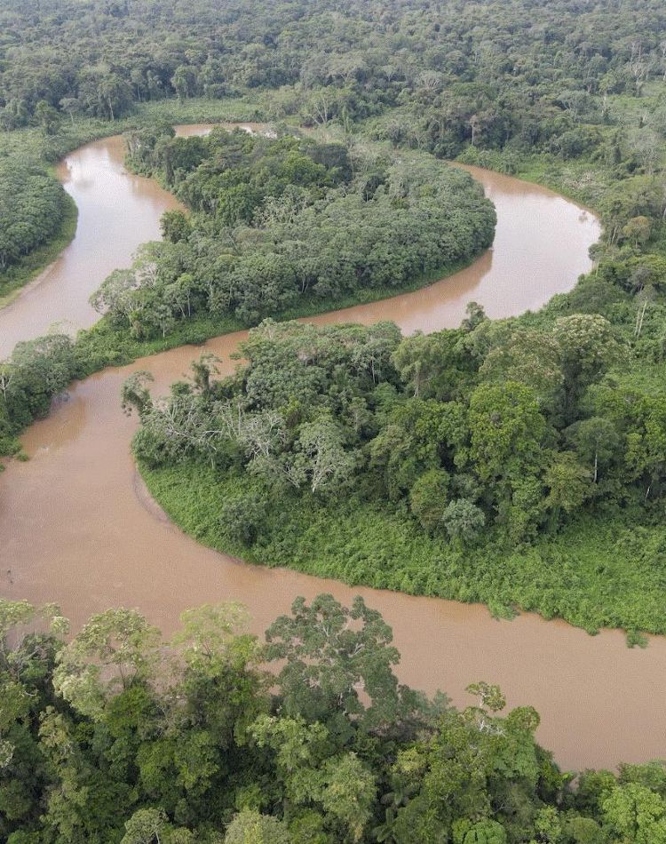 An aerial view of a winding river.