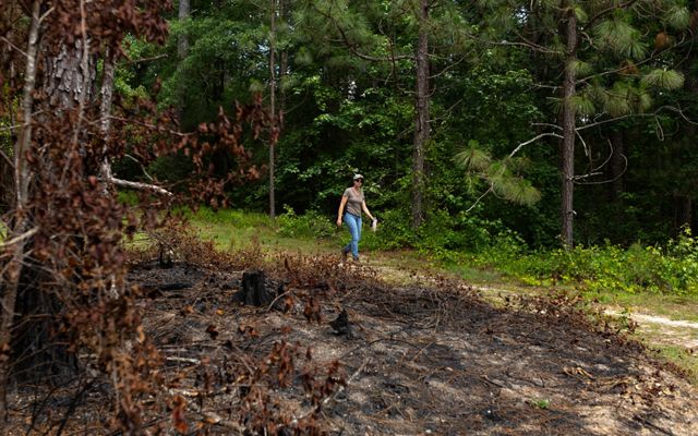 woman walks past prescribed fire burn.