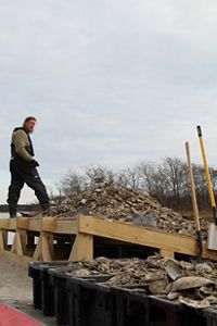 Dan Goulart stands on a pile of clam shells on top of a barge that's pulling into a cove of Hamblin Pond to drop the shell for a restoration project.