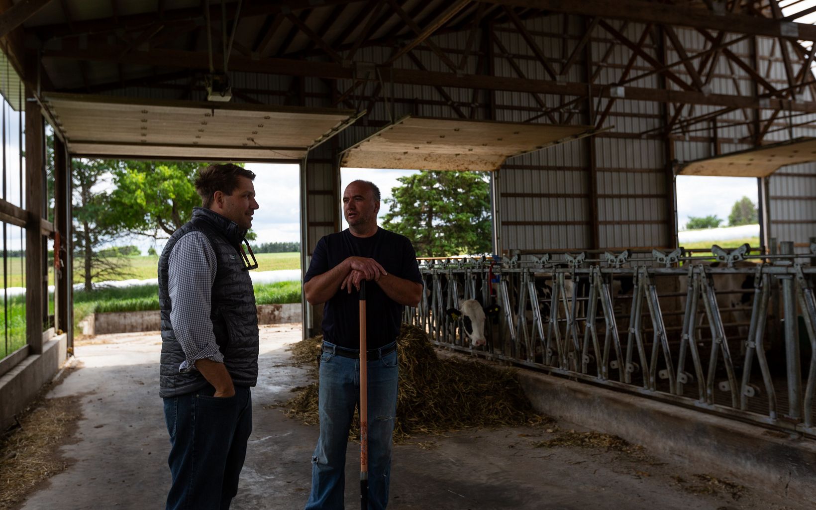Two people standing and talking in a dairy barn.