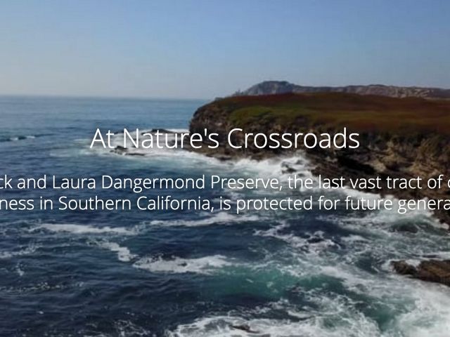 Thumbnail of the first image in a storymap. Waves crash and foam at the base of cliffs at the edge of the Dangermond Preserve.