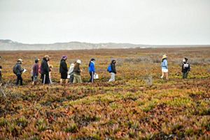 A group of people hike through a field, led by a guide.
