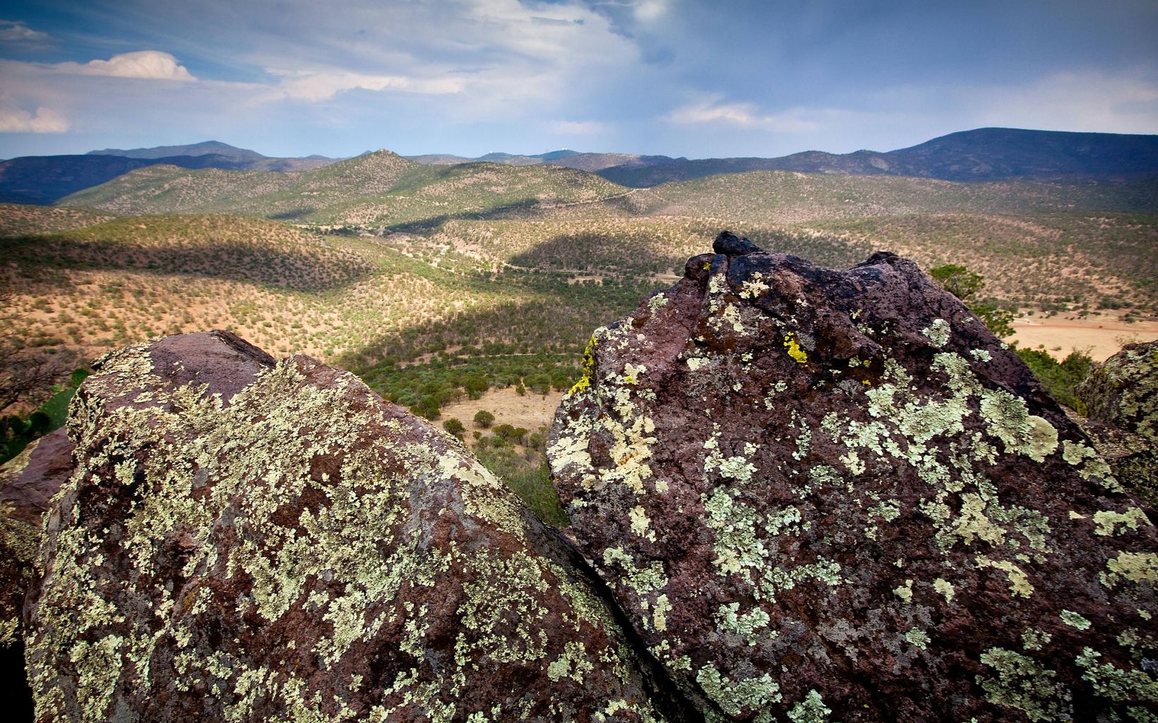 Rocks covered with lichen sit on a hillside overlooking the Davis Mountain Preserve landscape.