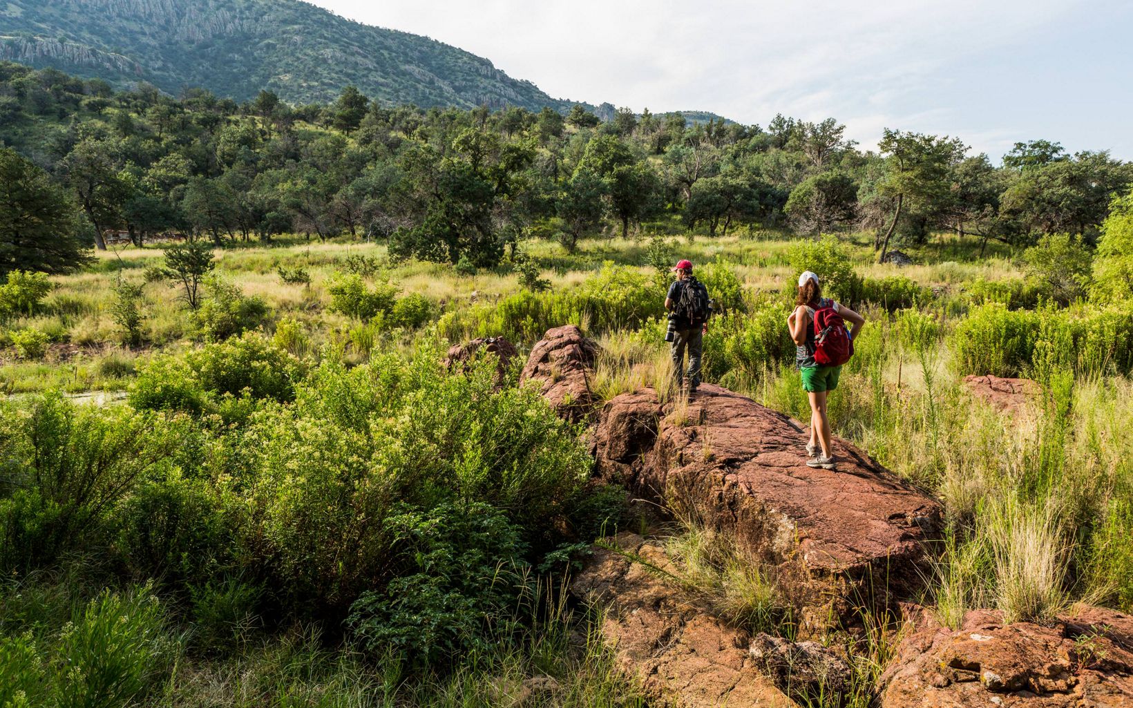 Two hikers stand on a red rock and are surrounded by green scrub bushes.