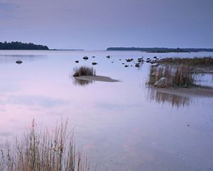 A purple sunrise over a still bay.