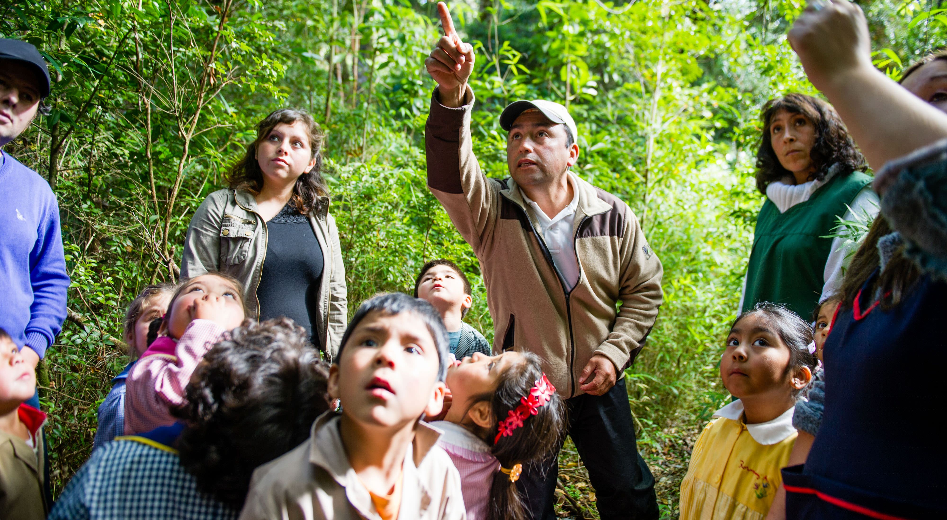 teaching school children from Haihuin Village School about forest ecology in the Valdivian Coastal Reserve, Los Rios, Chile.