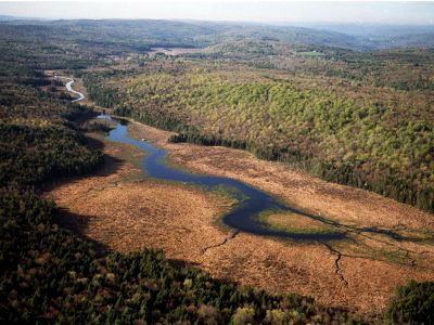 Aerial view of a river winding and branching through a forest landscape