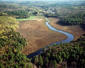 Aerial view of a river running through a forested landscape.