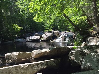 A small waterfall in a stream surrounded by big boulders and leafy green trees.
