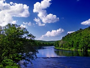 A wide river stretches to the horizon flowing between banks lined with abundant trees under a blue sky and puffy white clouds.