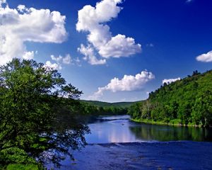 A wide river stretches to the horizon flowing between banks lined with abundant trees under a blue sky and puffy white clouds.