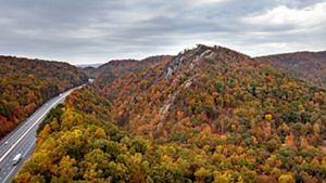 A lush mountain features trees with fall foliage.