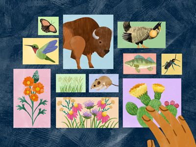 Art of prairie plants and animals on a dark blue background.