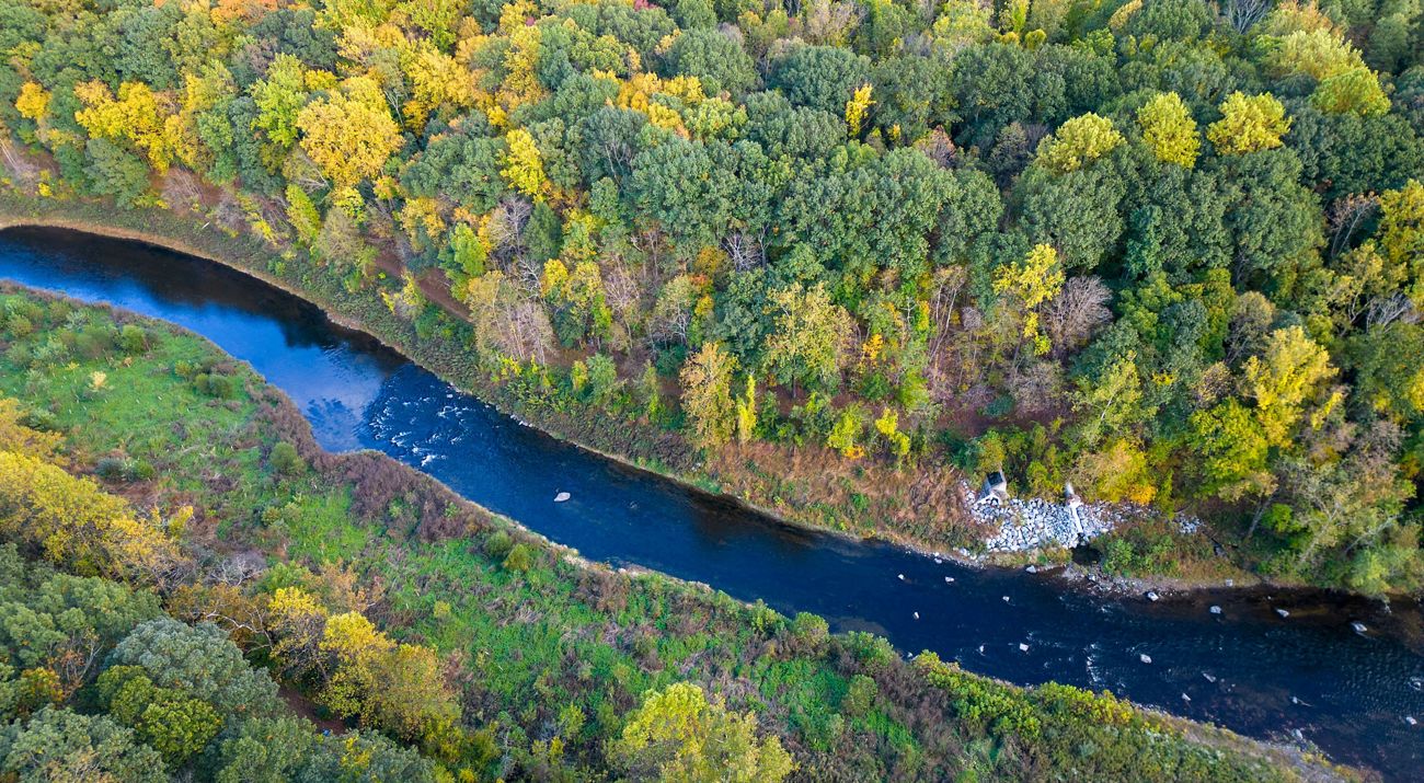Aerial view of a winding river.