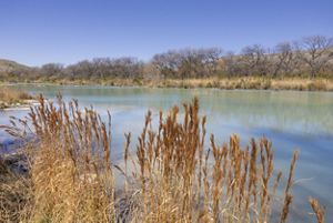Golden reeds stand in the foreground beside a calm section of the Devils River, whose smooth, blue‑green surface reflects the clear sky and leafless trees along the bank.