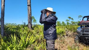 A volunteer uses binoculars to monitor a bald eagle nest.