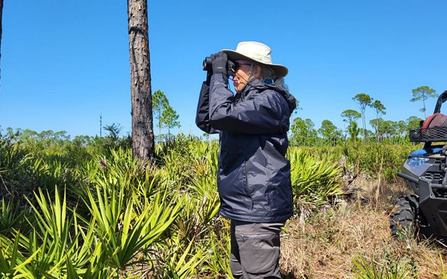 A volunteer uses binoculars to monitor a bald eagle nest.