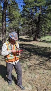 A man in a construction vest and hard hat stands in a forest while looking down at a tablet device.
