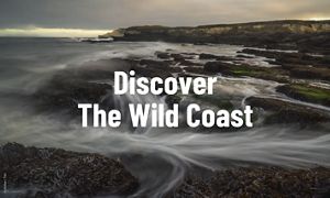 The coast of Dangermond Preserve.