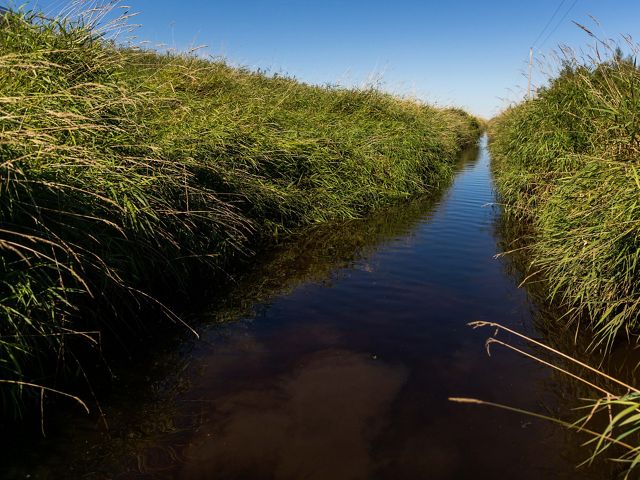 Water-level view of a drainage ditch cutting through thick grasses.