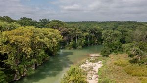 A winding blue river lined with tall, dense trees.