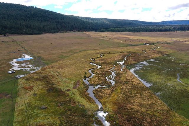 Aerial view of a green field with a stream cutting through the middle and a forest in the distance.