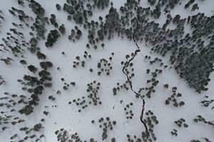 An aerial view features a forest.