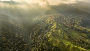 Vista de dron del área de Manizales, protegida por el Fondo de Agua Vivocuenca, en Colombia.