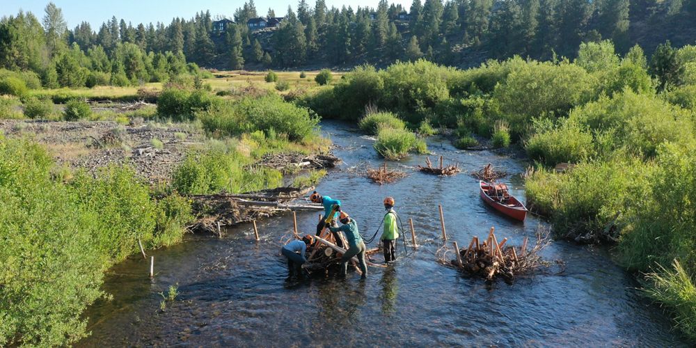 A crew of people working in a stream.