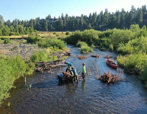 Four people in orange hard hats work together to place sticks and logs in a shallow river.