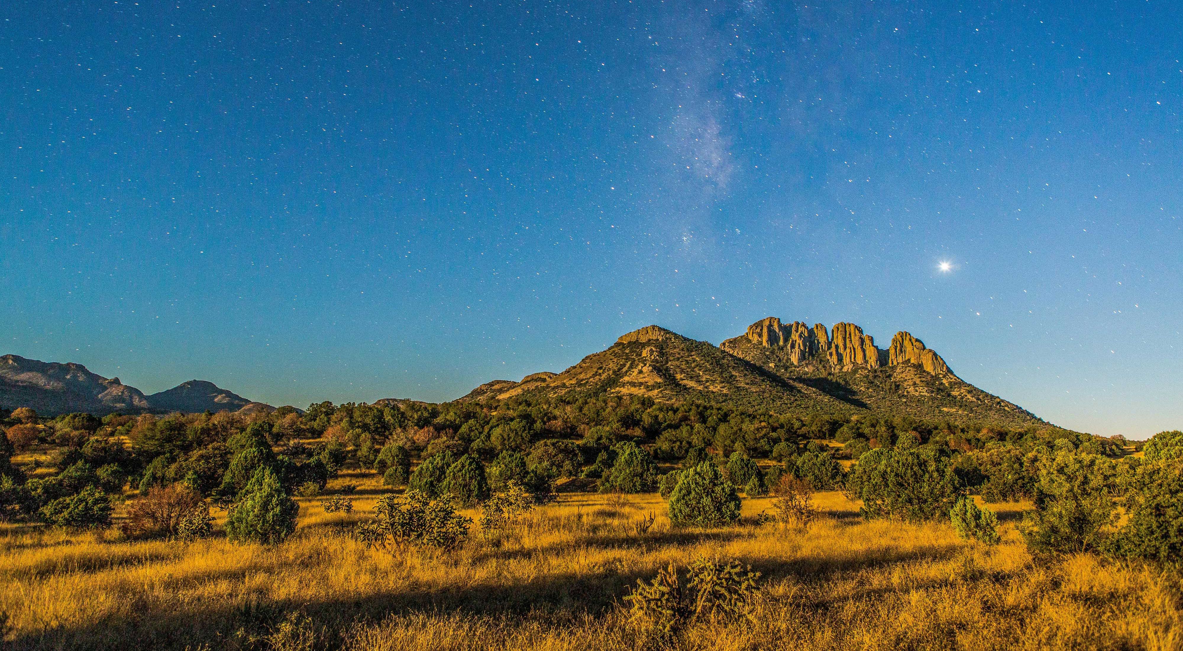 Yellow grasses lead to Sawtooth Mountain and upward to a starry early evening sky.