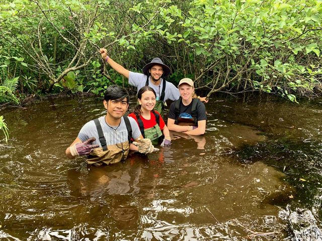 Four volunteers wearing waders stand up to their chests in water.