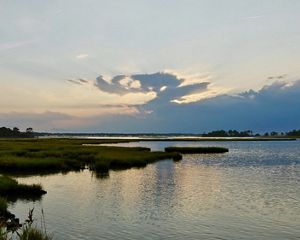 The setting sun illuminates a bank of clouds at the edge of an open marsh.